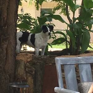 Meet your Posher, Sherber